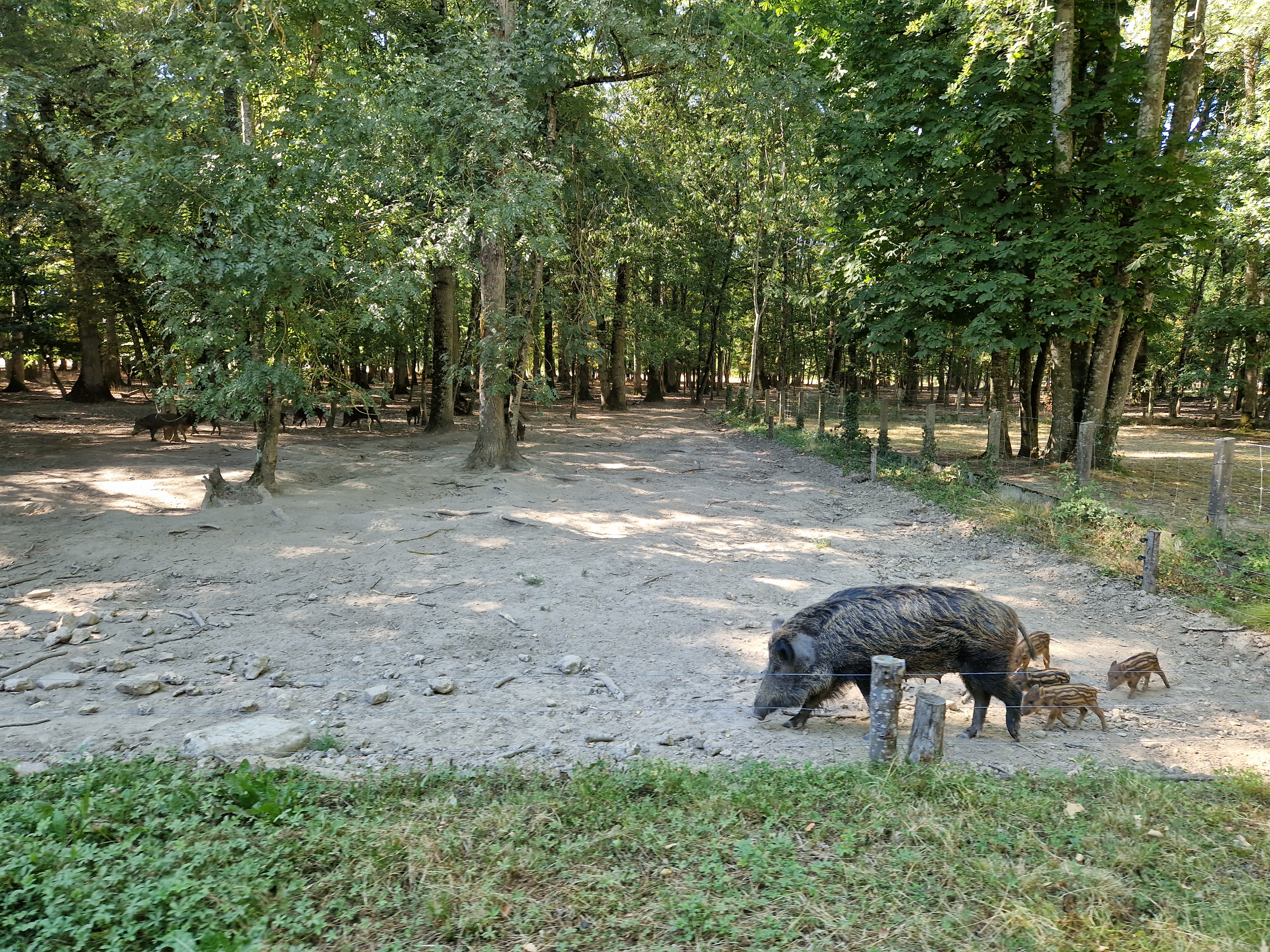 Photo n° 4 de l'avis de Elodie. fait le 27/07/2022 à 20:42