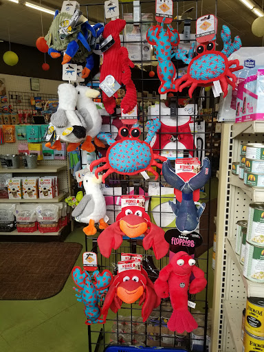 Pet Supply Store «Animal Krackers Inc», reviews and photos, 232 Main St, Gloucester, MA 01930, USA
