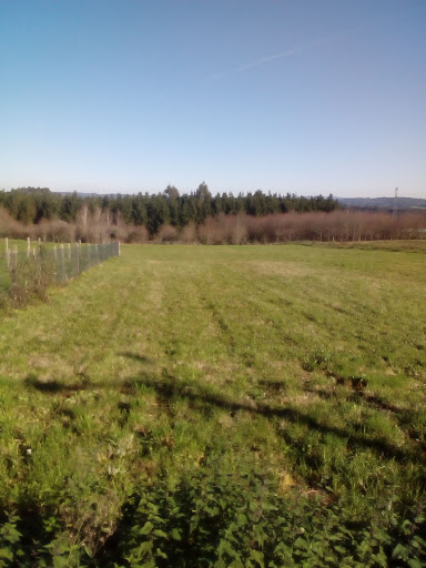 Bosch Car Service Talleres Hermanos Barreiro en O Castelo, A Coruña