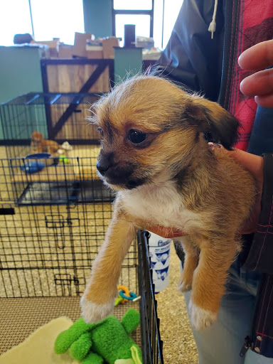 Pet Supply Store «Pet Ranch», reviews and photos, 3823 E 120th Ave, Denver, CO 80233, USA