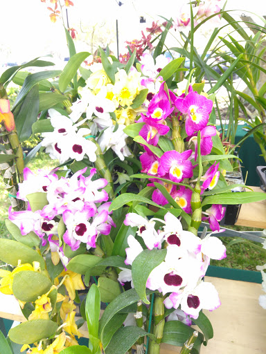 Community Center «Volunteer Park Community Center», reviews and photos, 12050 W Sunrise Blvd, Plantation, FL 33323, USA