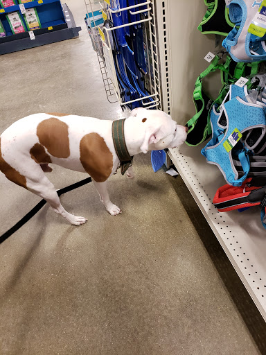 Pet Supply Store «PetSmart», reviews and photos, 8500 N Evanston Ave, Kansas City, MO 64157, USA