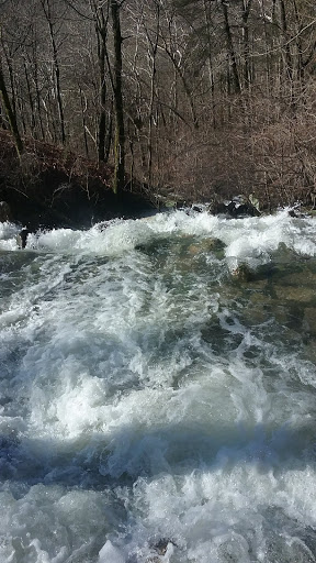 National Park «Cumberland Gap National Historical Park», reviews and photos, 91 Bartlett Park Road, Middlesboro, KY 40965, USA