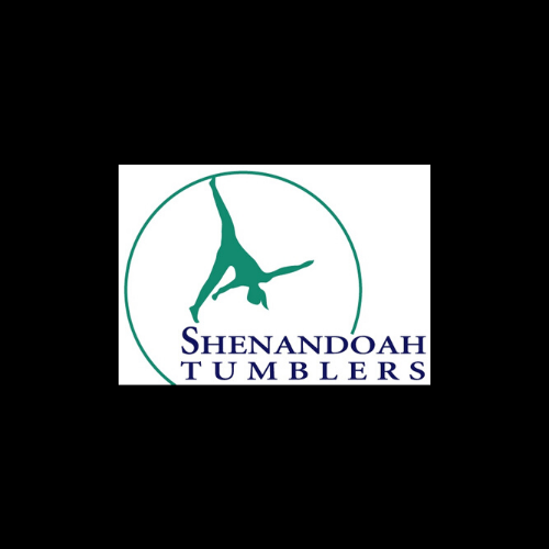 Gymnastics Center «Shenandoah Tumblers, Inc.», reviews and photos, 221 Commonwealth Ct, Winchester, VA 22602, USA
