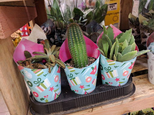 Home Improvement Store «The Home Depot», reviews and photos, 111 Universal Dr N, North Haven, CT 06473, USA