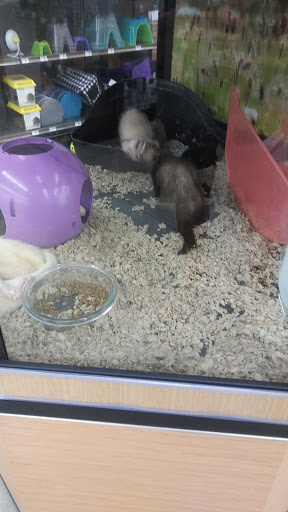 Pet Supply Store «Petco Animal Supplies», reviews and photos, 3551 W Hillsboro Blvd, Deerfield Beach, FL 33442, USA