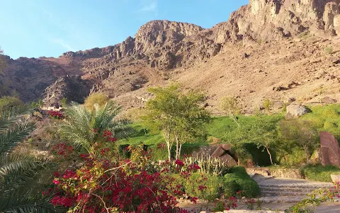Jabal Ohud Garden image