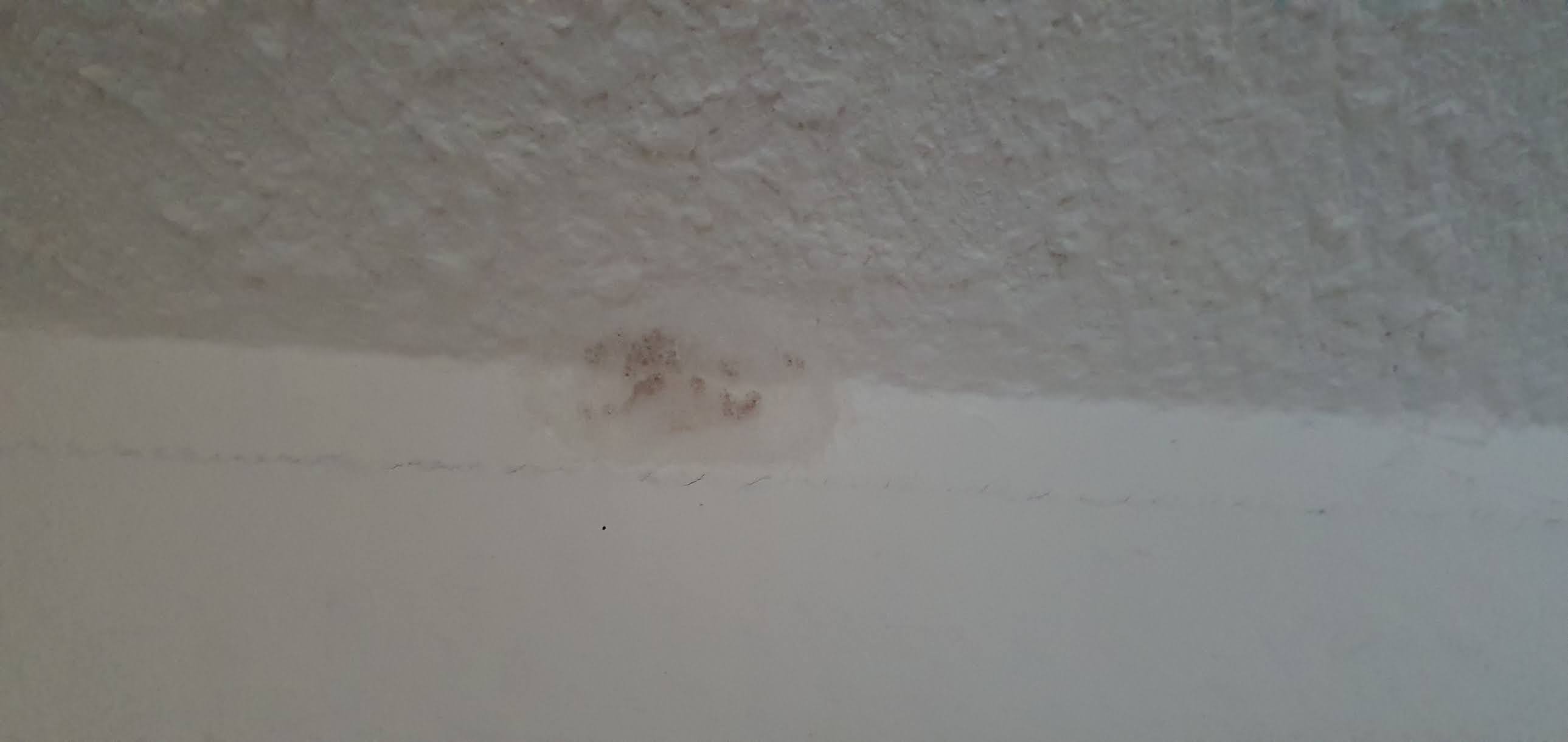 Photo n° 3 de l'avis de Romain.a fait le 22/06/2020 à 08:43