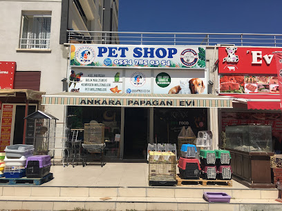 Ankara Papağan Evi Pet Shop