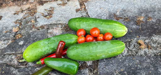 Park «Little Nancy Creek Park», reviews and photos, 4012 Peachtree Dunwoody Rd, Atlanta, GA 30342, USA