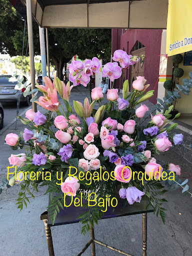 Floreria y Regalos Orquídea Del Bajío – León