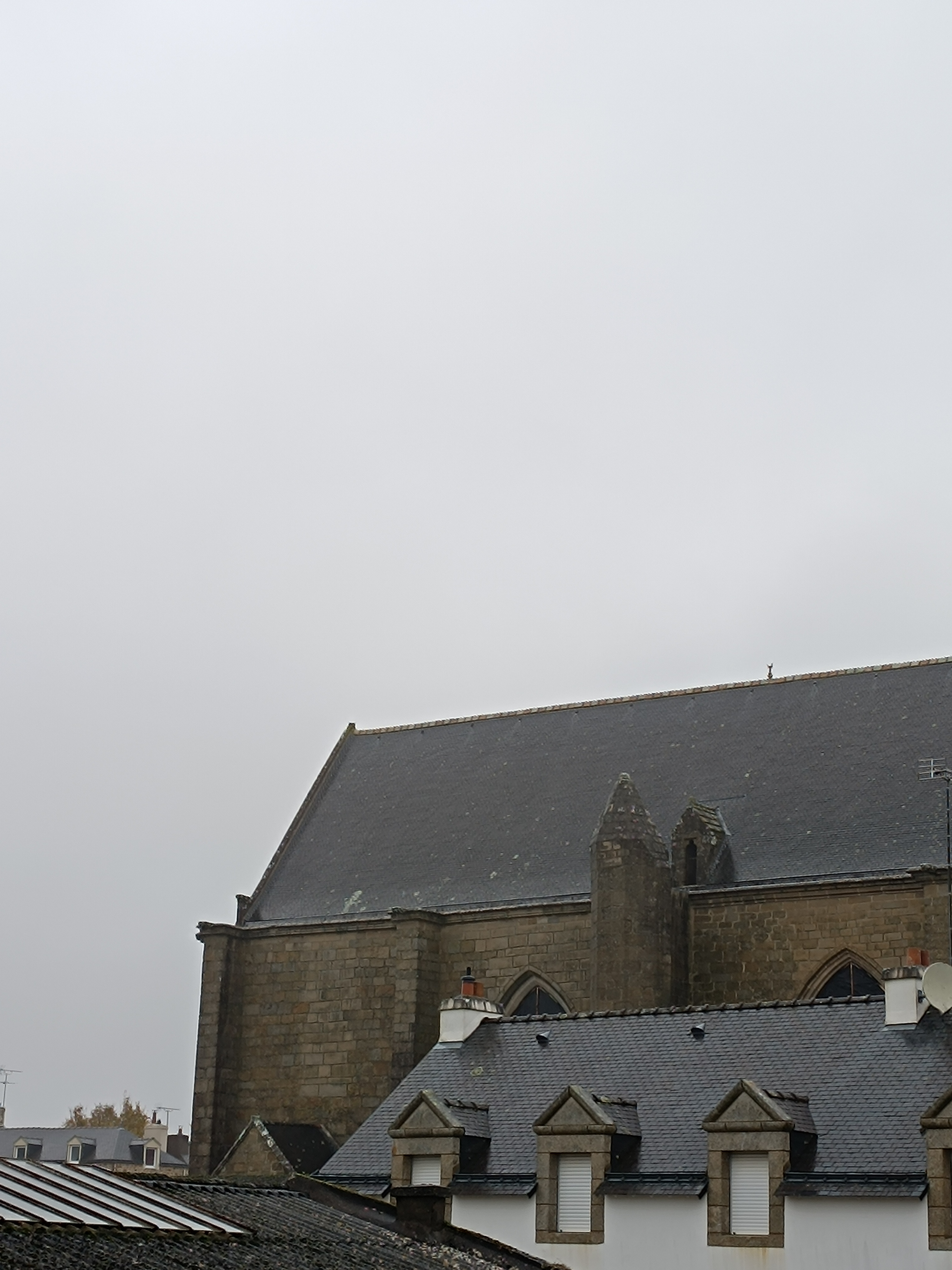 Photo n° 2 de l'avis de 8.i fait le 08/11/2023 à 15:29