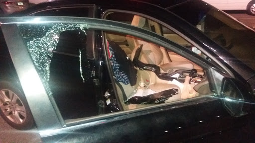 Park «Pine Island Park», reviews and photos, 320 S Pine Island Rd, Plantation, FL 33324, USA