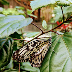 Photo n° 3 de l'avis de Anne.. fait le 15/05/2023 à 07:03 pour Parc Terra Botanica à Angers