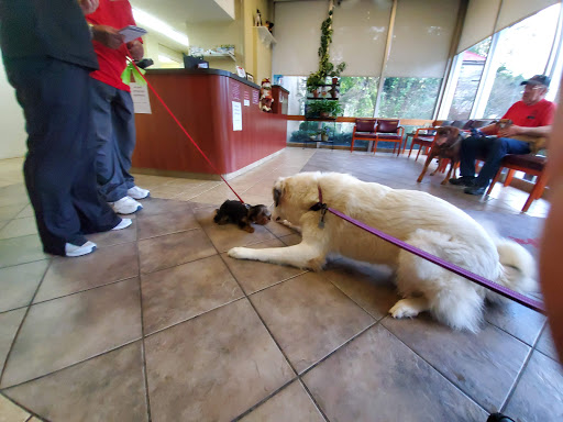 South Pointe Animal Hospital image