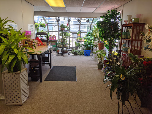 Florist «Wood Bros Flrsts Inc», reviews and photos, 651 Bridge St, Lowell, MA 01850, USA
