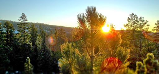 Big Bear Real Estate - Mike Sannes Team image