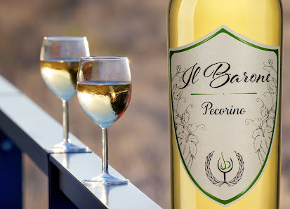 Il Barone Vini Via Pietro Benedetti, 49, 66020 Paglieta CH, Italia