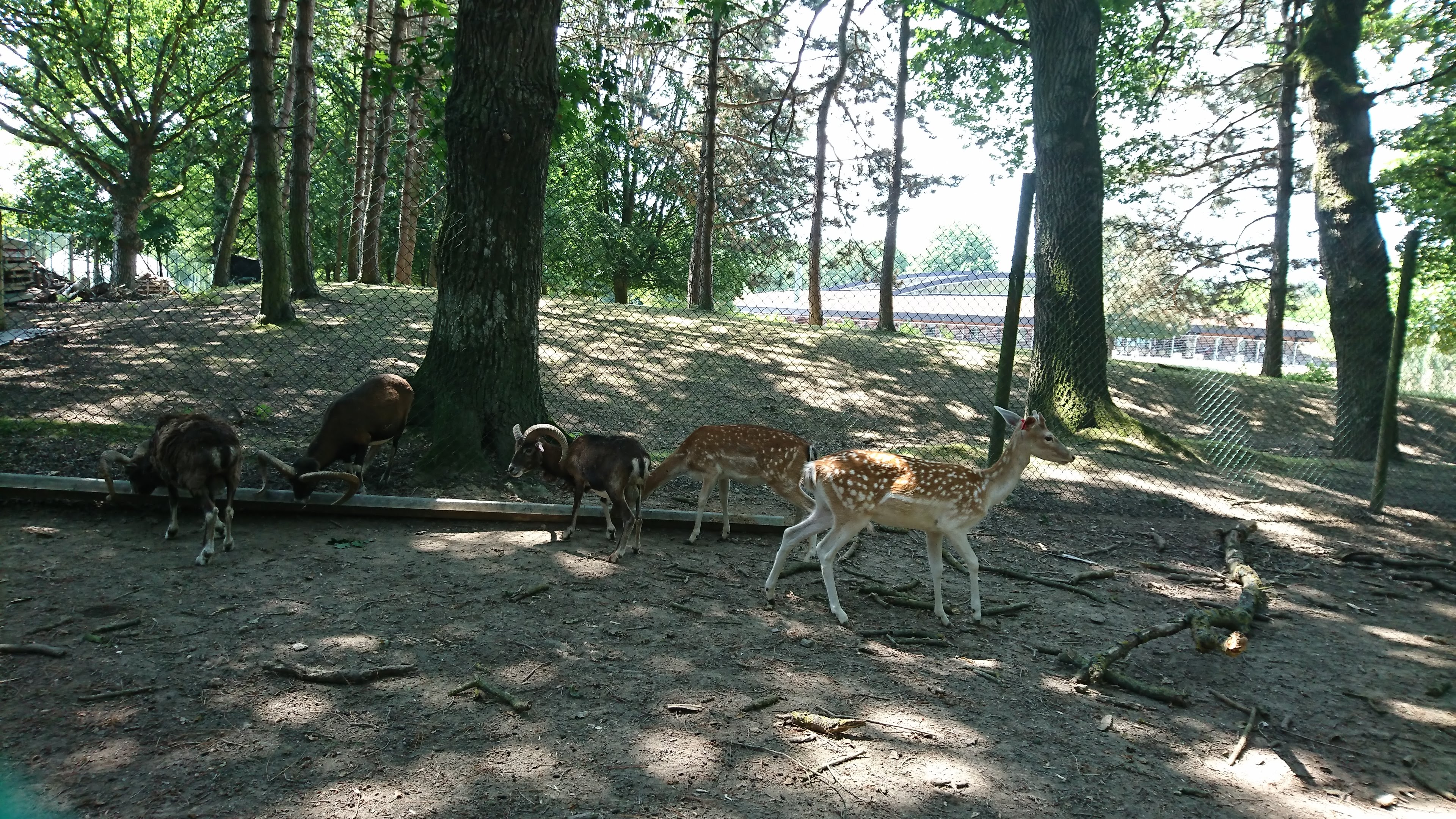 Photo n° 2 de l'avis de nath.a fait le 25/07/2018 à 20:29