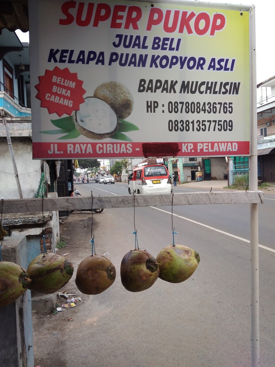 kelapa kopyor