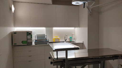 Clínica Veterinaria Cañete - Cañete