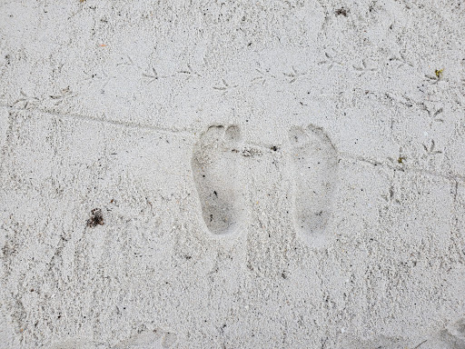 Community Center «Town Of Surfside Community Center», reviews and photos, 9301 Harding Ave, Surfside, FL 33154, USA