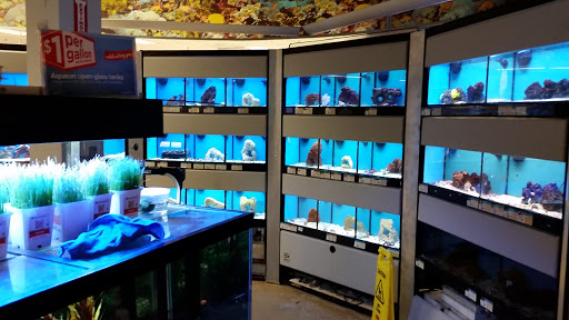 Pet Supply Store «Petco Animal Supplies», reviews and photos, 7721 Mentor Ave, Mentor, OH 44060, USA