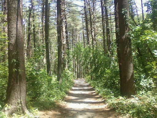 Golf Course «Goddard State Park Golf Course», reviews and photos, 1095 Ives Rd, East Greenwich, RI 02818, USA