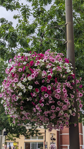 Shopping Mall «The Streets of Tanasbourne», reviews and photos, 19350 NW Emma Way, Hillsboro, OR 97124, USA