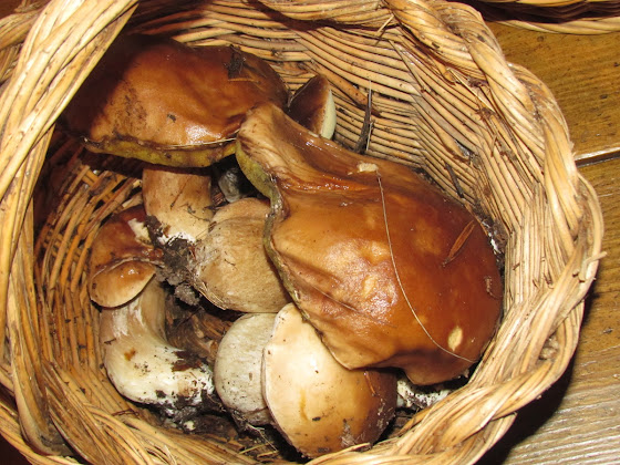 Plats et boissons Casa rural Casa rural de Gredos La Esperilla 05635 Barajas