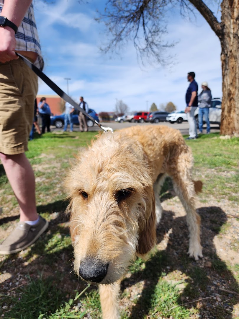 Fruita Bark Park