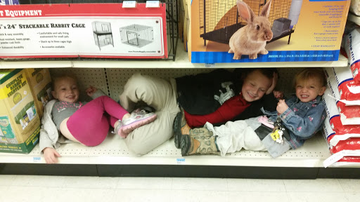 Home Improvement Store «Tractor Supply Co.», reviews and photos, 540 Water St #100, Chardon, OH 44024, USA