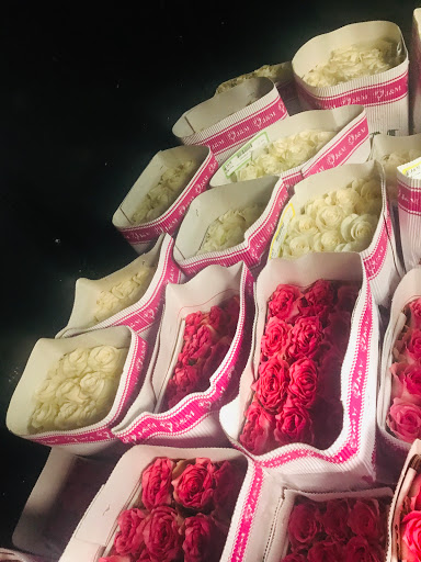 Florist «Floreria Alcatraz», reviews and photos, 159 Aldine Bender Rd #174, Houston, TX 77060, USA