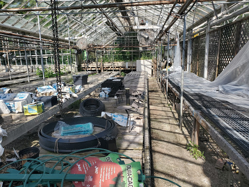 Florist «Kinsch Village Florist & Garden Center», reviews and photos, 301 Johnson St, Palatine, IL 60067, USA