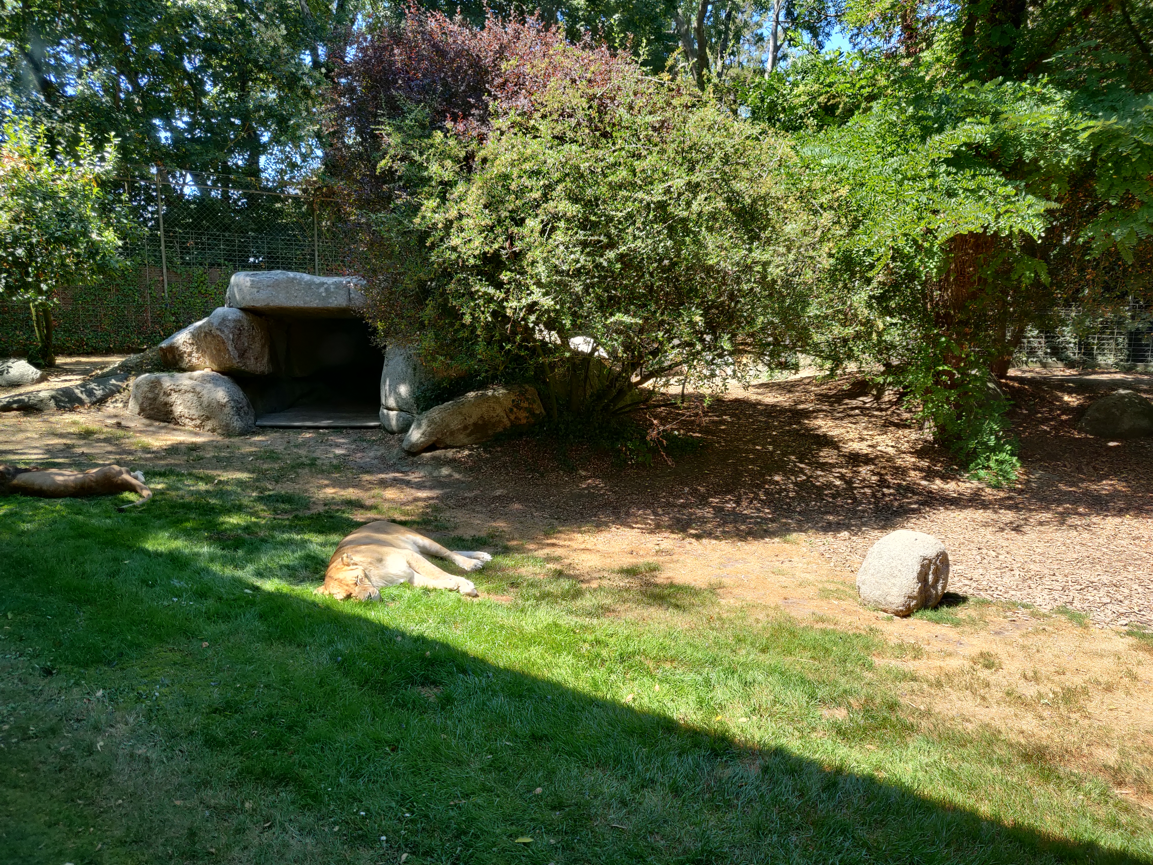 Photo n° 6 de l'avis de Quentin.H fait le 09/08/2022 à 13:55
