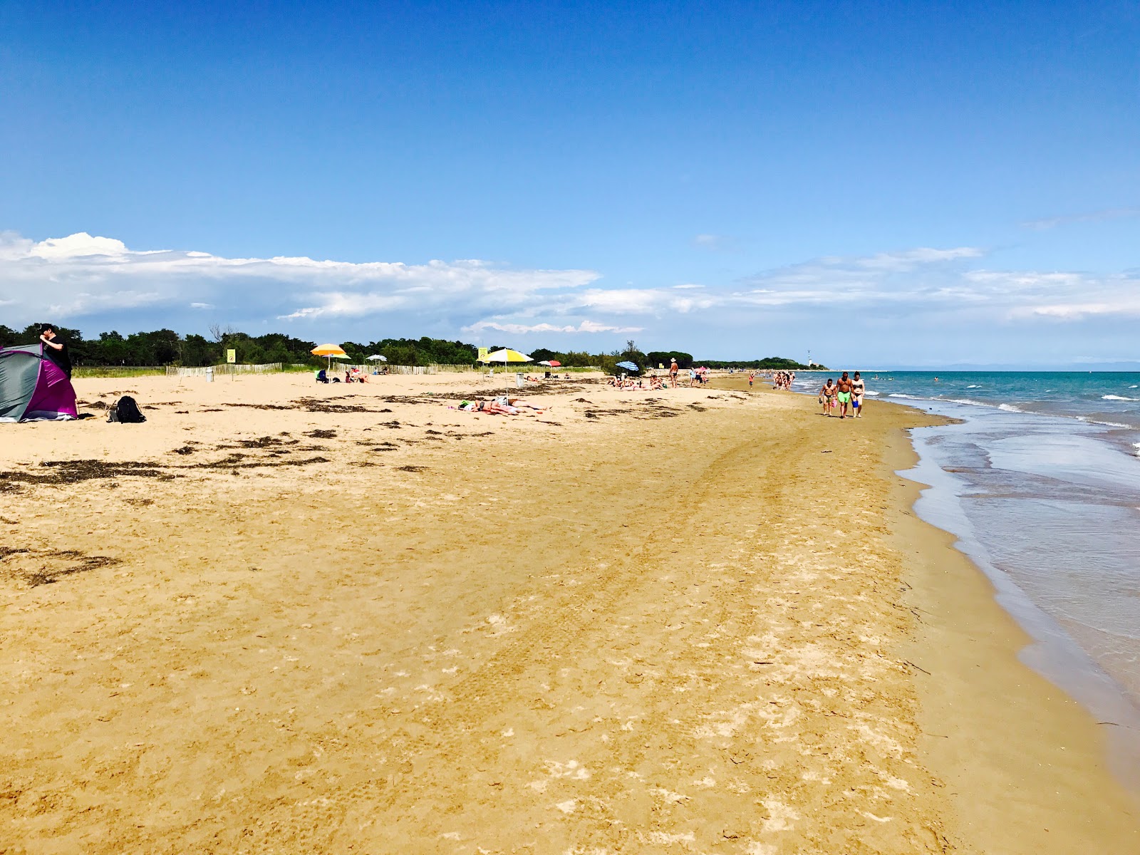 Foto de Spiaggia libera Bibione com areia fina e brilhante superfície