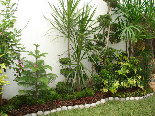 Asociacion de Jardineros de Xochimilco, jardineria, viveros, tierra negra, poda de árboles, venta de plantas, árboles frutales.