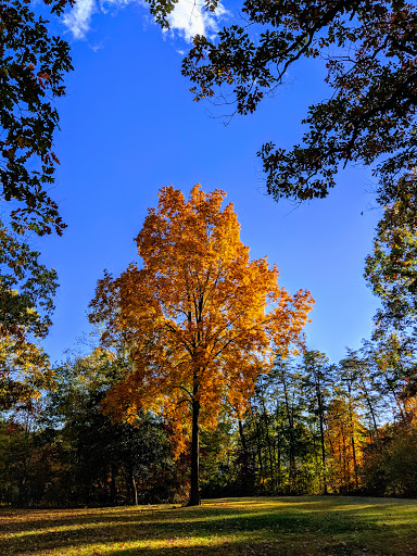 Memorial Park «Ox Hill Battlefield Park», reviews and photos, 4134 West Ox Rd, Fairfax, VA 22033, USA