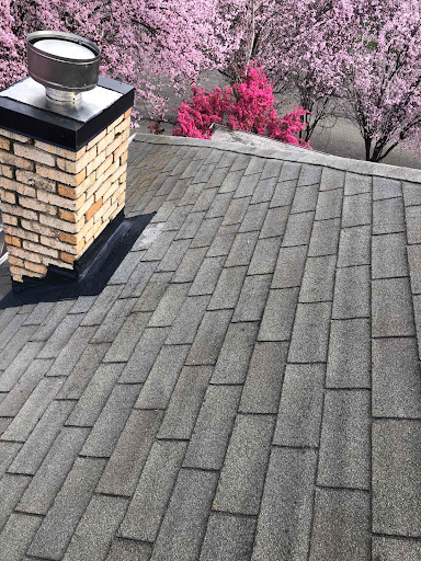 Den Defenders Chimney & Fireplace Service image