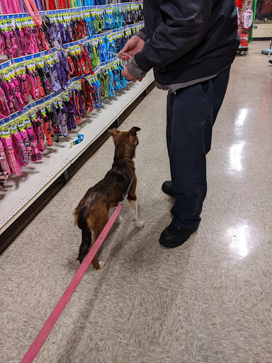 Pet Supply Store «PetSmart», reviews and photos, 711 US-41, Schererville, IN 46375, USA