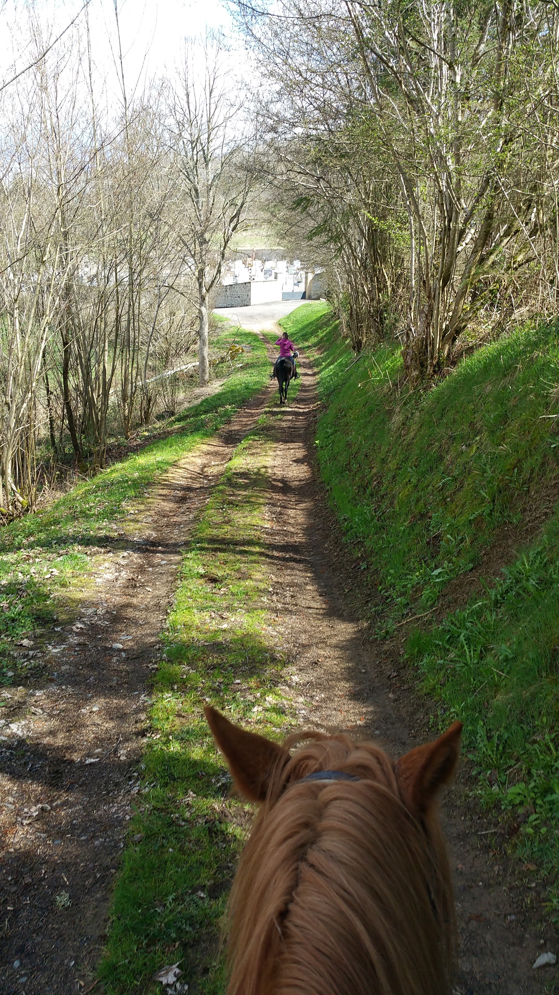 Photo n° 2 de l'avis de brugcalle.l fait le 19/04/2018 à 14:55