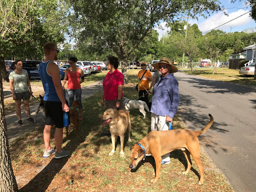 Park «Henry & Ola Park», reviews and photos, 502 W Henry Ave, Tampa, FL 33604, USA