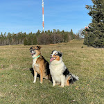 Photo n°1 de l'avis de M. fait le 01/01/2023 à 19:00 sur le  Berghotel Zollersteighof à Albstadt