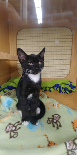 Pet Supply Store «Petco Animal Supplies», reviews and photos, 226 Thornton Drive, Dickson, TN 37055, USA