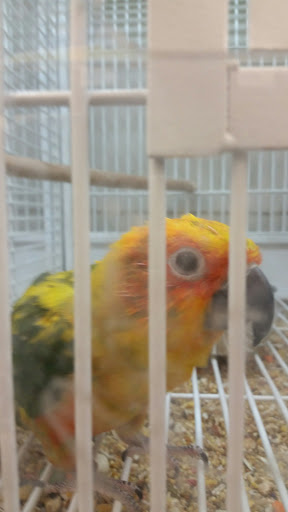 Pet Supply Store «Pet Supplies Plus», reviews and photos, 4332 Kent Rd, Stow, OH 44224, USA