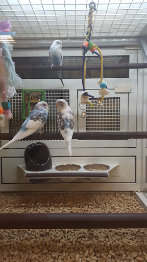 Pet Supply Store «PetSmart», reviews and photos, 1559 Merritt Blvd, Dundalk, MD 21222, USA
