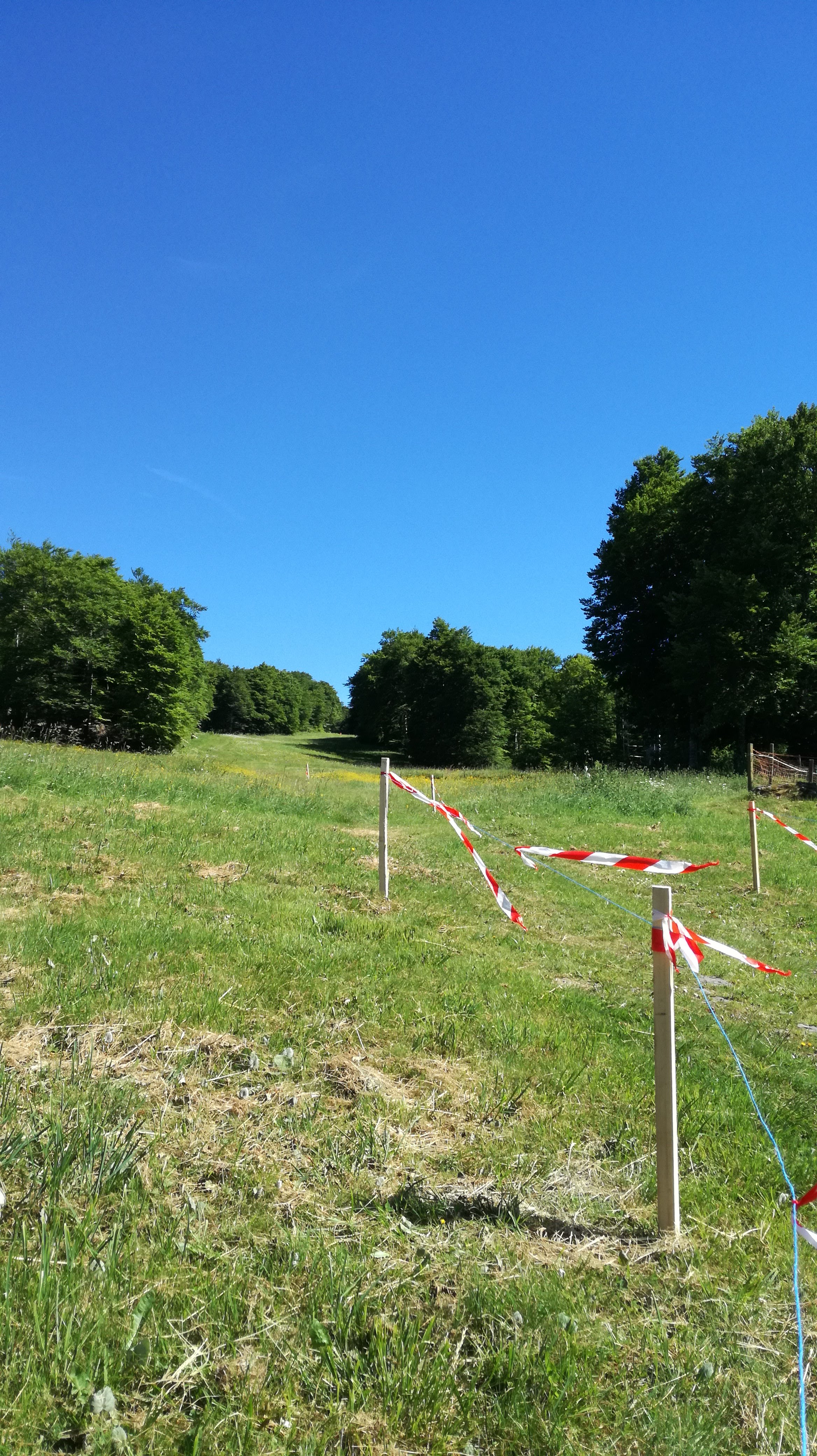 Photo n° 5 de l'avis de Brigitte.i fait le 28/06/2018 à 09:13