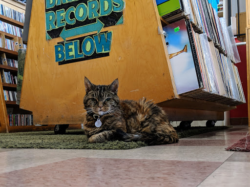 Book Store «Pegasus Books Downtown», reviews and photos, 2349 Shattuck Ave, Berkeley, CA 94704, USA