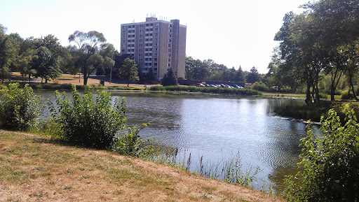 Park «Phillips Park», reviews and photos, 901 Ray Moses Dr, Aurora, IL 60505, USA