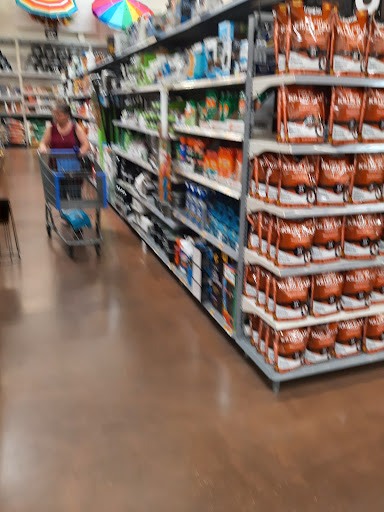 Department Store «Walmart Supercenter», reviews and photos, 6102 FM3009, Schertz, TX 78154, USA